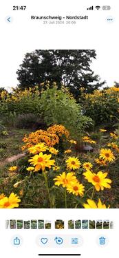 Foto - Kleingarten in Braunschweig - 2.000,00&nbsp;EUR Kaltmiete, ca.&nbsp; 0,00&nbsp;m&sup2;