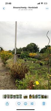 Foto - Grundst&uuml;ck in Braunschweig