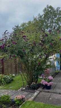 Foto - Grundst&uuml;ck in Otterndorf