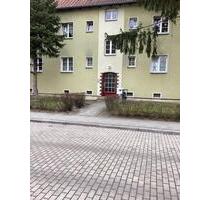 Zwei Zimmer, viel Grün -Natur inklusive - Hennigsdorf