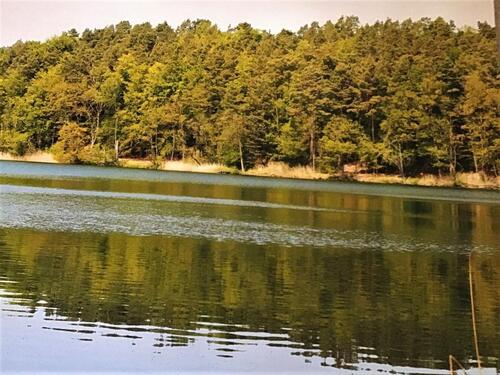 Foto - Wohnen wo andere Urlaub machen 2 Raum DG Whg