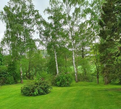 Foto - 3.5 Zimmer Erdgeschoßwohnung zur Miete in Aerzen