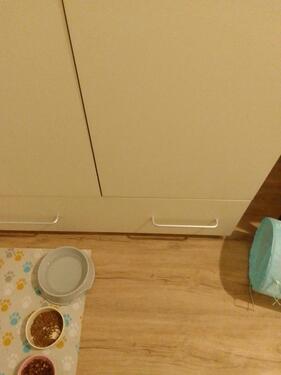 Foto - 3 Zimmer Etagenwohnung in Krefeld