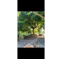 Ruhige 1-2 Zimmer Wohnung auf dem Land mit Gartennutzung - Polle