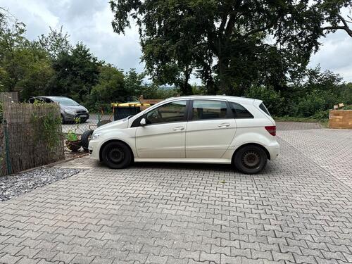 Foto - andere in Schöneck zur Miete