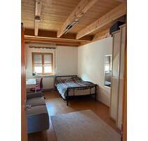 WG- Zimmer TU LMU Direkt am Schlosspark - Oberschleißheim