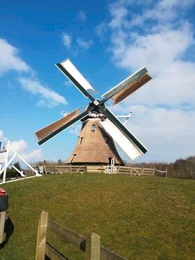 Foto - Ferienwohnung, Nordsee, Ameland, 5 Pers