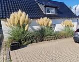 Foto - Traumhaftes Häuschen zur Miete - 1.050,00 EUR Kaltmiete,