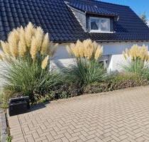 Traumhaftes Häuschen zur Miete - 1.050,00 EUR Kaltmiete, in Meschede (PLZ: 59872)