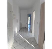 2,5 Zimmer DG-Wohnung zu vermieten in Rödermark