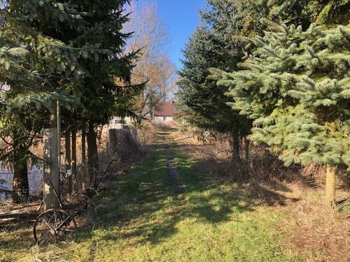 Foto - Einfamilienhaus in Ducherow zum Kaufen