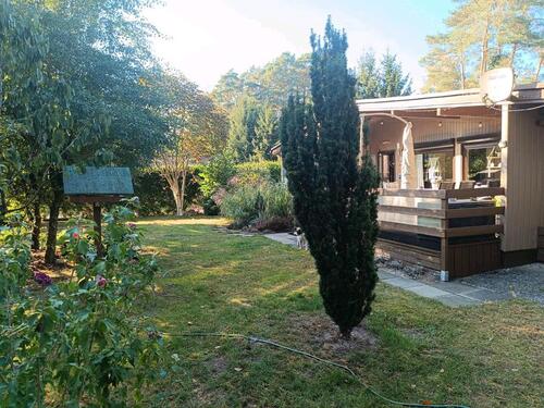 Foto - Einfamilienhaus zum Kaufen in Winsen (Aller)