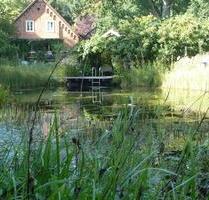 Landhaus auf Naturgrundstück im Außenbereich, ehemaliger Forsthof - Crivitz