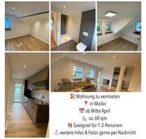 60qm Wohnung zu vermieten - 570,00&nbsp;EUR Kaltmiete, ca.&nbsp; 60,00&nbsp;m&sup2; in Schmallenberg (PLZ: 57392)