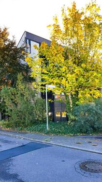 Foto - 5 Zimmer Erdgeschoßwohnung zur Miete in Düren