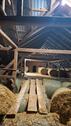 Foto - Bauernhaus, Landhaus in Elsterberg zum Kaufen