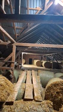Foto - Bauernhaus, Landhaus in Elsterberg zum Kaufen