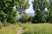 Foto - Hoch hinaus und den Ausblick genießen!