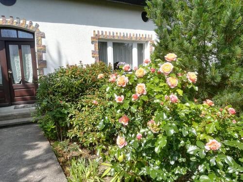 Foto - 6 Zimmer Bauernhaus, Landhaus zum Kaufen in Rosenow