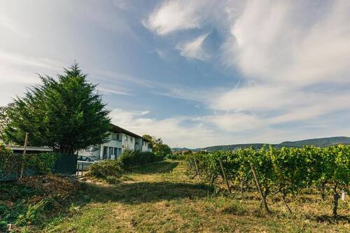 Foto - 4 Zimmer Erdgeschoßwohnung in Bad Dürkheim