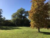 Foto - Etagenwohnung in Heroldsberg zur Miete