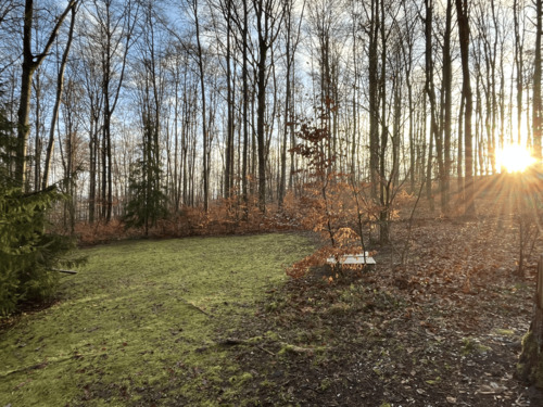 Foto - Grundst&uuml;ck zur Miete in Bad Staffelstein