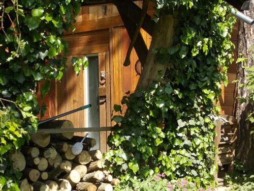 Foto - 2 Zimmer Etagenwohnung zur Miete in Würzburg