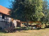 Foto - Einfamilienhaus in Ballenstedt zum Kaufen