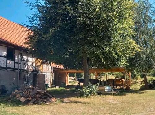 Foto - Einfamilienhaus in Ballenstedt zum Kaufen