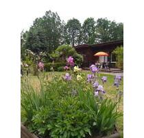 Ferienhaus in Bad Saarow - 60,00&nbsp;EUR Kaltmiete, in Bad Saarow (PLZ: 15526)