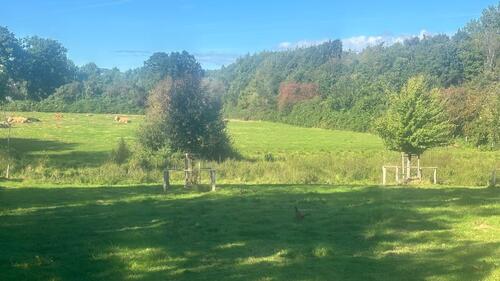 Foto - 6 Zimmer Einfamilienhaus zum Kaufen in Kiel