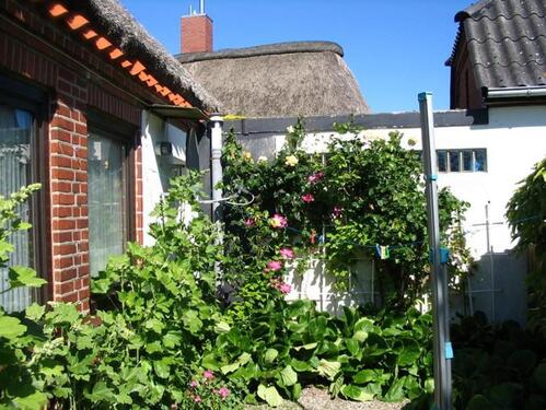 Foto - 3 Zimmer Doppelhaushälfte zum Kaufen in Fehmarn