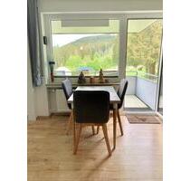 Ferienwohnung Lieblingsplatz Harz Hahnenklee direkt am Lift - Goslar OS Hahnenklee-Bockswiese