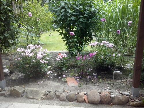 Foto - Einfamilienhaus zum Kaufen in Bad Fallingbostel