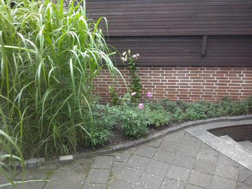 Foto - Einfamilienhaus in Bad Fallingbostel