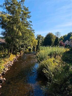 Foto - Ferienhaus Waldoase in Schleiden- 11 Personen, 4 Hunde