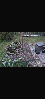 Foto - Grundst&uuml;ck in Heilbad Heiligenstadt zur Miete