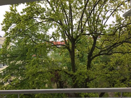 Foto - 2 Zimmer Etagenwohnung in Berlin