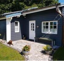 Ferienhaus zwischen Nord-&Ostsee Urlaub mit Hund grenznah zu DK - Ladelund