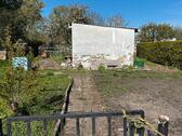Foto - Kleingarten im Dornröschen Schlaf