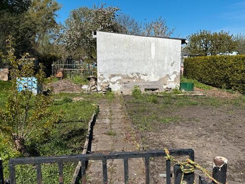 Foto - Kleingarten im Dornröschen Schlaf