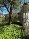 Foto - Grundst&uuml;ck in Schwedt (Oder)