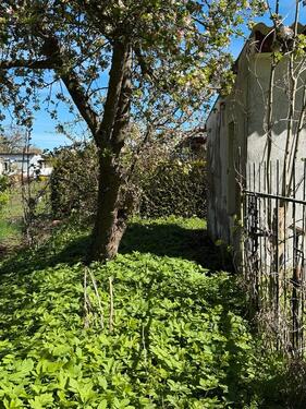 Foto - Grundst&uuml;ck in Schwedt (Oder)