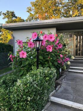 Foto - Massiv erbautes Einfamilienhaus auf großem Grundstück