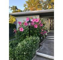 Massiv erbautes Einfamilienhaus auf großem Grundstück - Berlin Reinickendorf