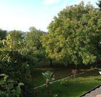 gemütliche 1,5-Zimmer-Wohnung mit Einbauküche in Bad Bellingen