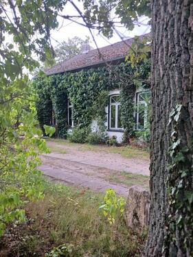 Foto - 5 Zimmer Einfamilienhaus zum Kaufen in Lüneburg