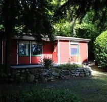 Idyllisches Wochenendhaus auf 824m² Grundstück am Waldrand - Bad Lausick