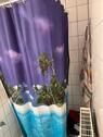 Foto - Etagenwohnung in Erlangen