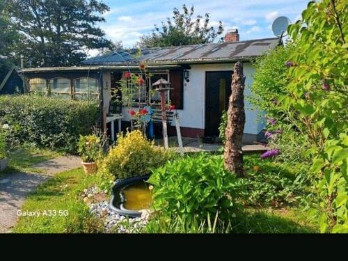 Foto - Grundst&uuml;ck in Dresden zur Miete